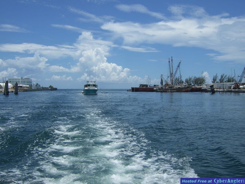 Dry Tortugas 2011