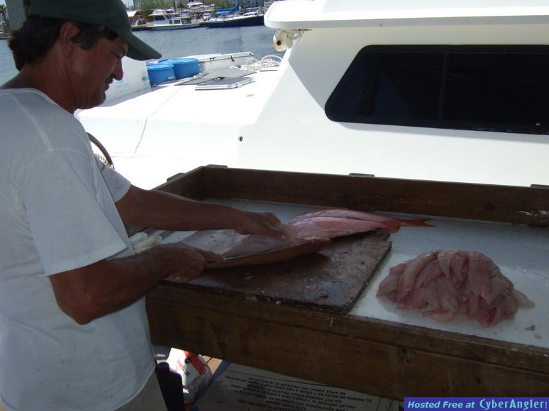 Dry Tortugas 2011
