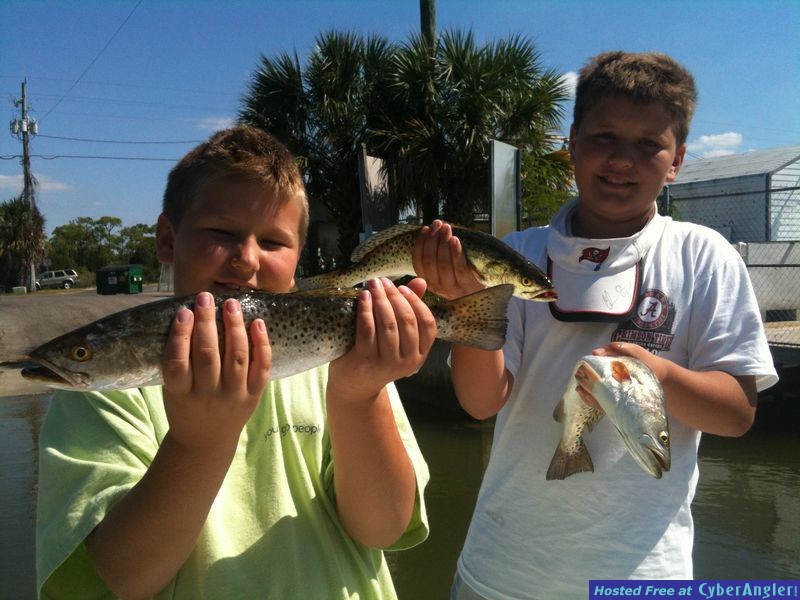 Click to Enlarge Photo