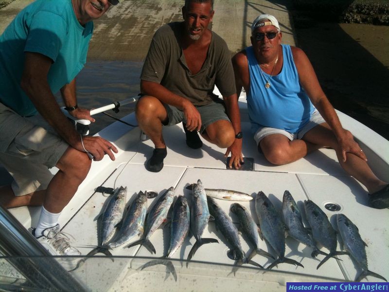 Click to Enlarge Photo