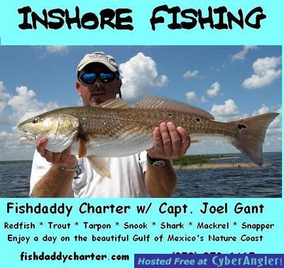 Fishdaddy Charters