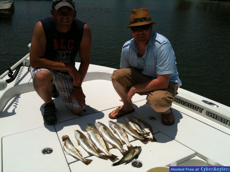 Click to Enlarge Photo