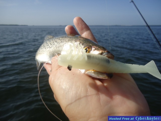 Click to Enlarge Photo