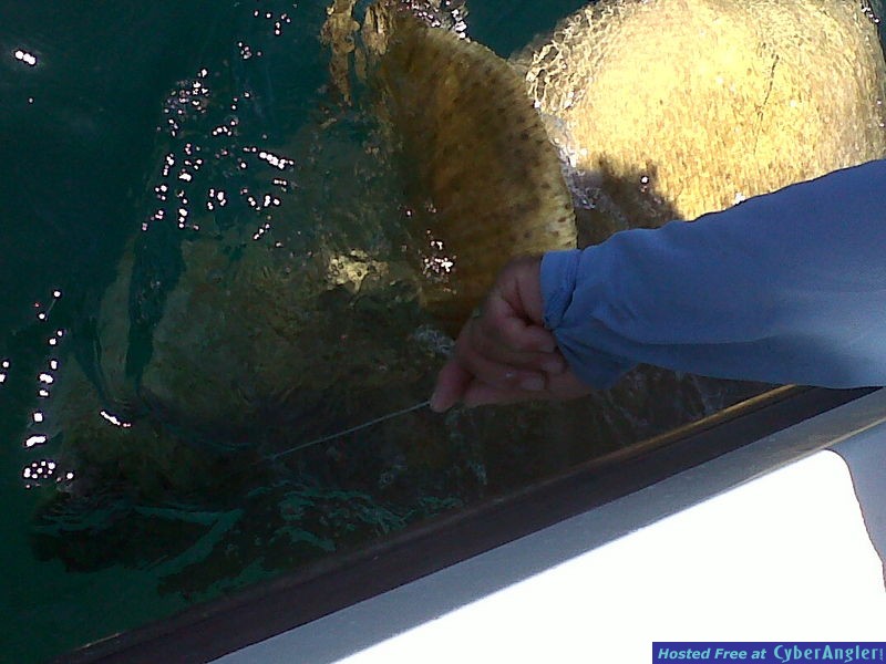 IMG-20110822-000161