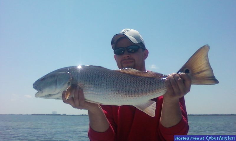 Capt David Rogers Mosquito Lagoon Redfish