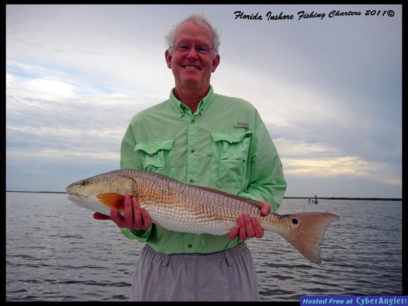 Mosquito Lagoon Redfish