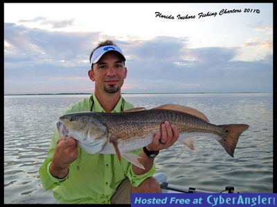 Mosquito Lagoon Redfish