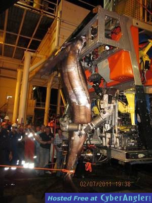 Blue Marlin vs ROV