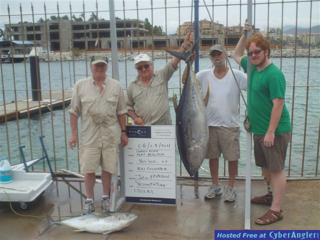 billcollectortuna