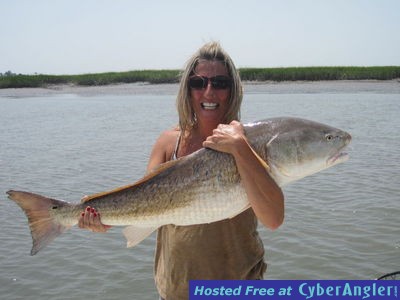 Click to Enlarge Photo