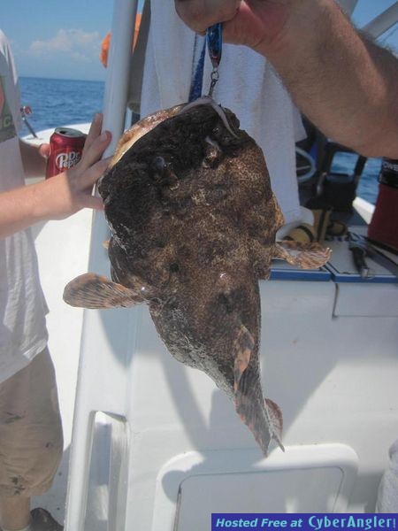 ACME Ventures Fishing 07-13-2011