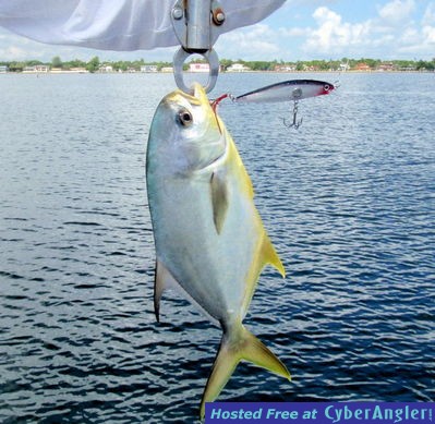 Click to Enlarge Photo