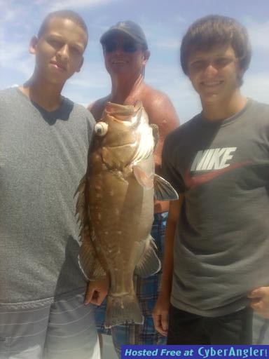 Grouper Scause