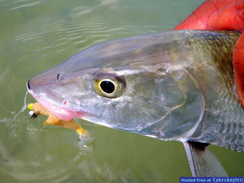 Boca Paila Fishing Lodge