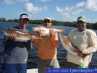 Click to Enlarge Photo