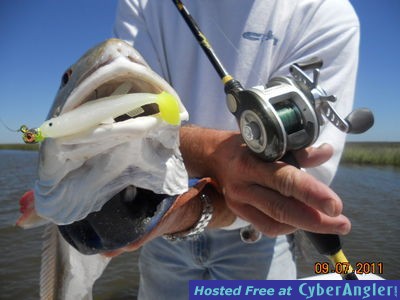 Click to Enlarge Photo