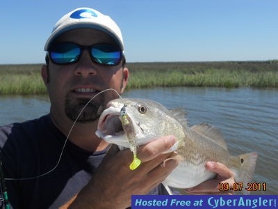 Click to Enlarge Photo