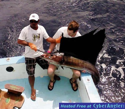 Guanacaste  Fishing for Sailfish