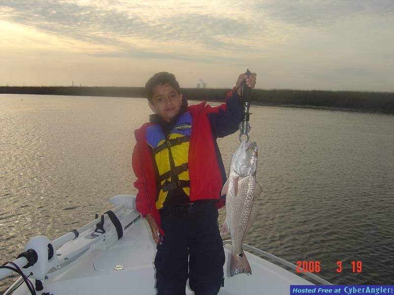 My Red Fish