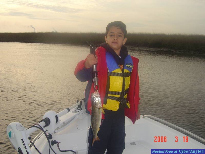 Tasty Trout