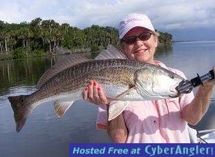 Click to Enlarge Photo