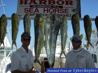 Islamorada Sea Horse Rack of Mahi