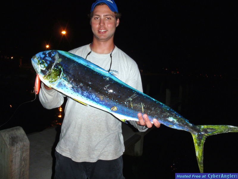 Dolphin_n_Skitter_Walk