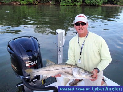 Click to Enlarge Photo