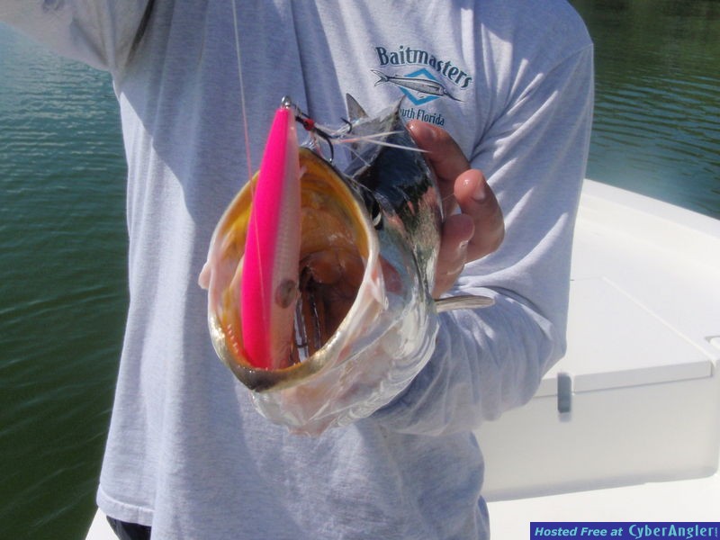 Sea_Trout_n_Clackin_Minnow_2