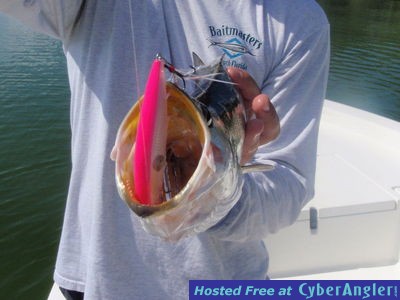 Click to Enlarge Photo