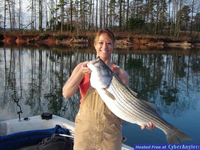Lake Lanier Striper