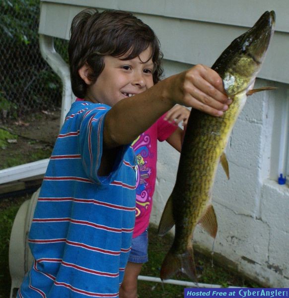 Nice Pickerel