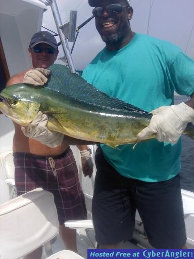 Dolphin Straughan