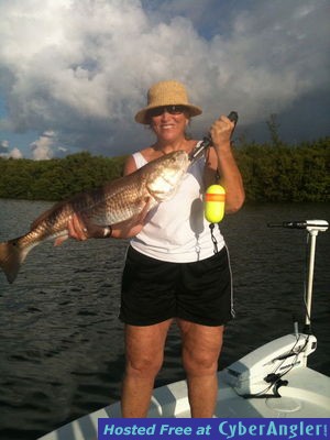 Click to Enlarge Photo