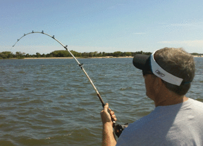 Click to Enlarge Photo