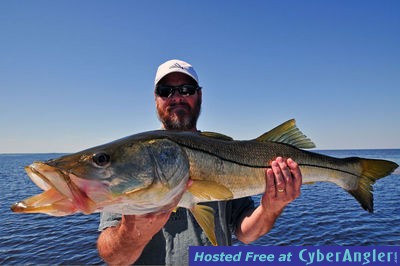 Pine Island Snook