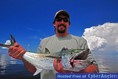 Bokeelia Spanish Mackerel