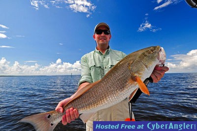 32&quot; Redfish