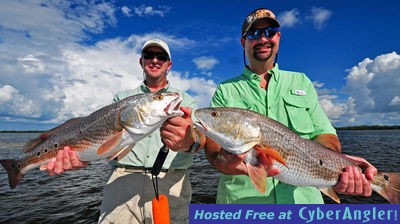 Pair of schooling Redfish