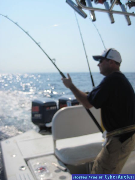 Wahoo in the Line