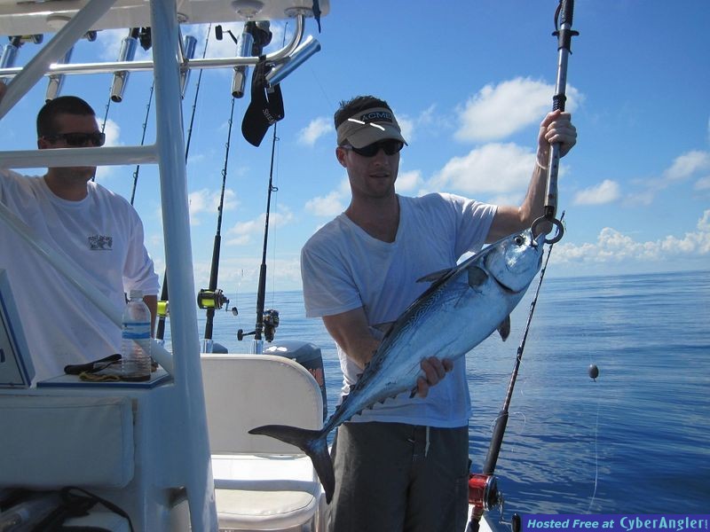 Big False Albacore Tuna