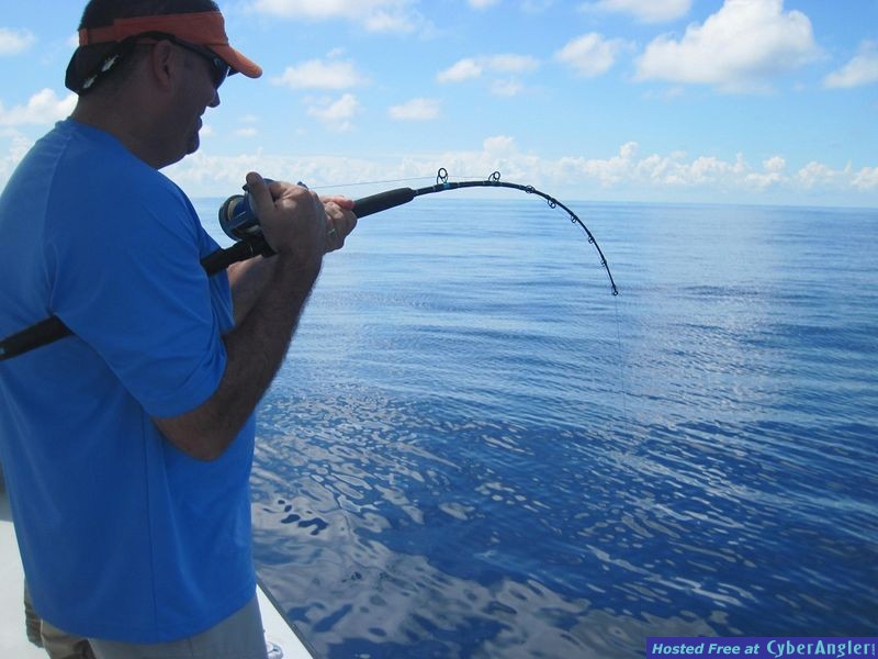Shark on the Line