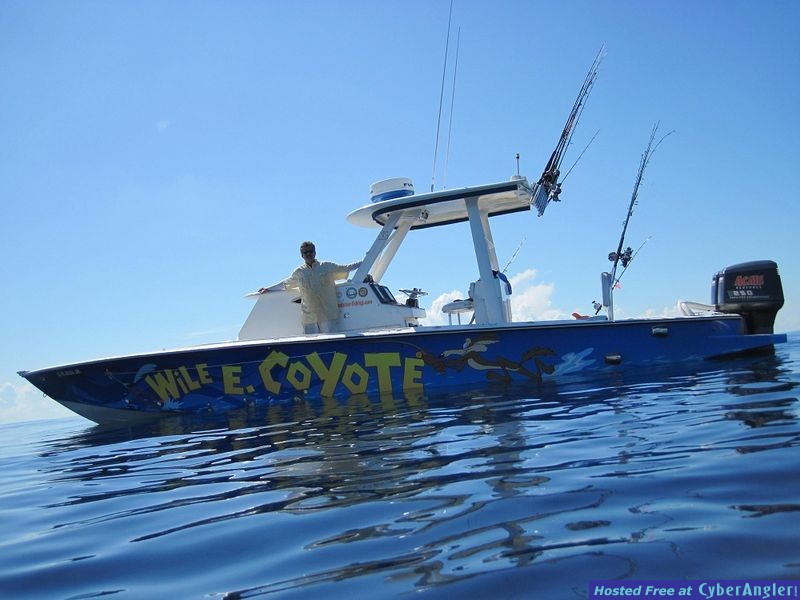 Wile E Coyote 20 miles offshore