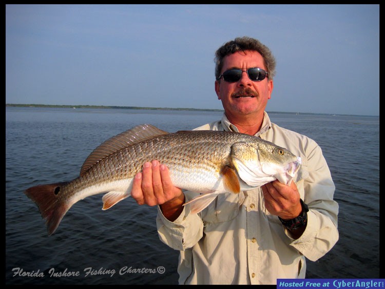 Mosquito Lagoon Redfish