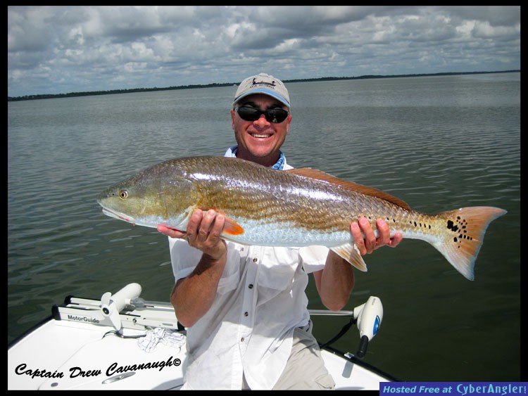 Mosquito Lagoon Redfish