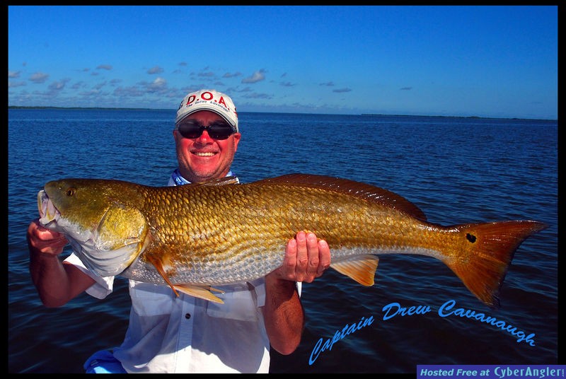 Mosquito Lagoon Redfish