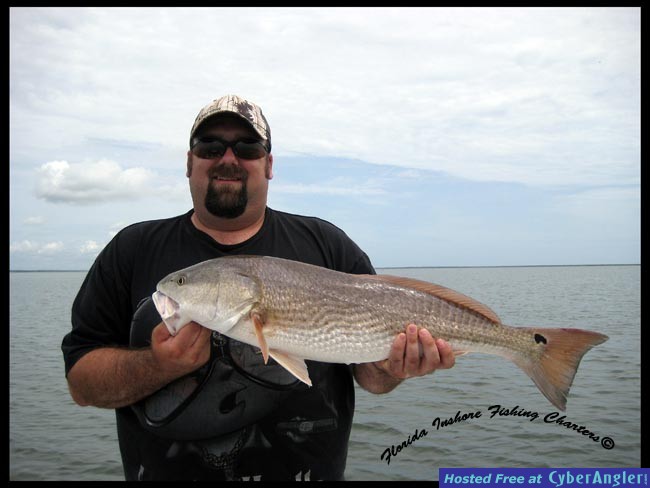 Mosquito Lagoon Redfish