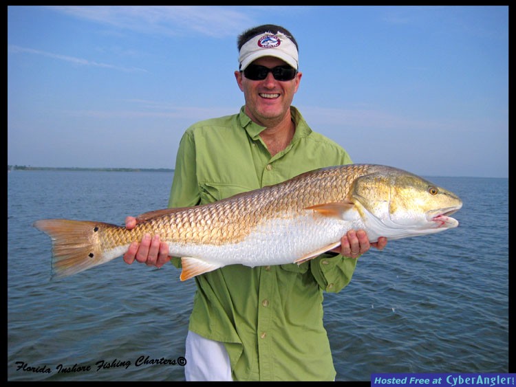 Mosquito Lagoon Redfish