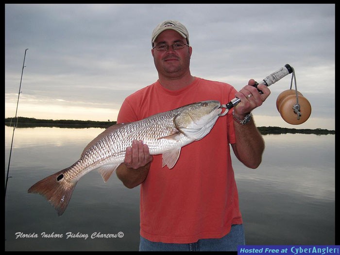 Mosquito Lagoon Redfish