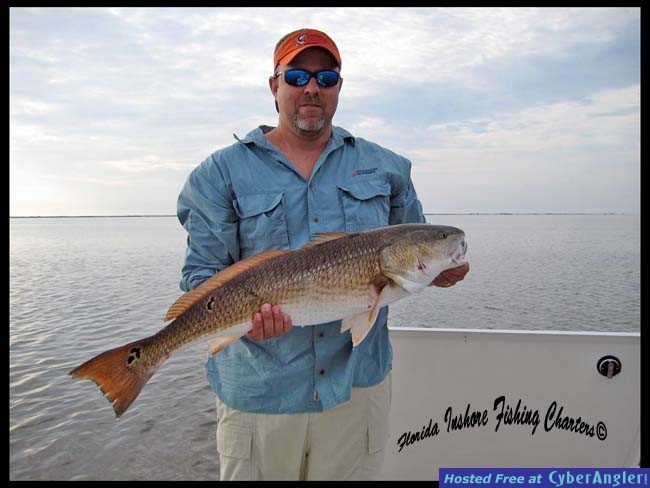 Mosquito Lagoon Redfish